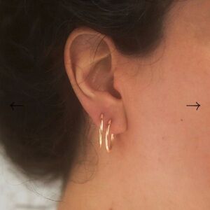 Catbird 14k classic hoops (pair)